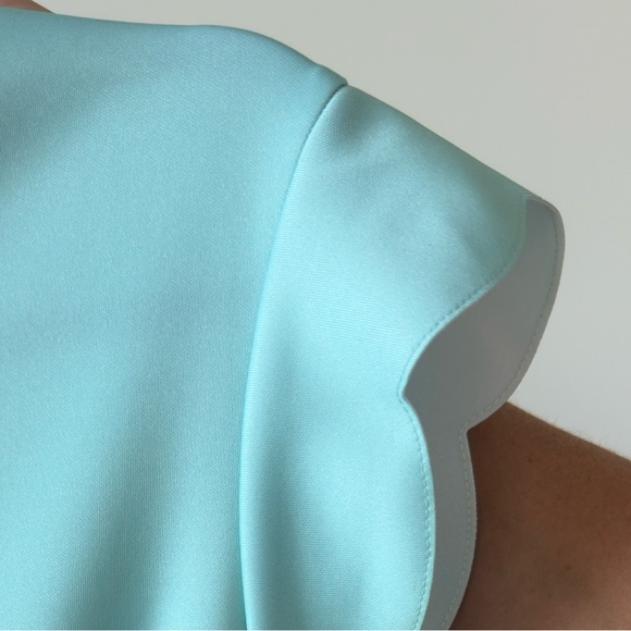 Ted Baker designer midi dress size small - Picture 8 of 10